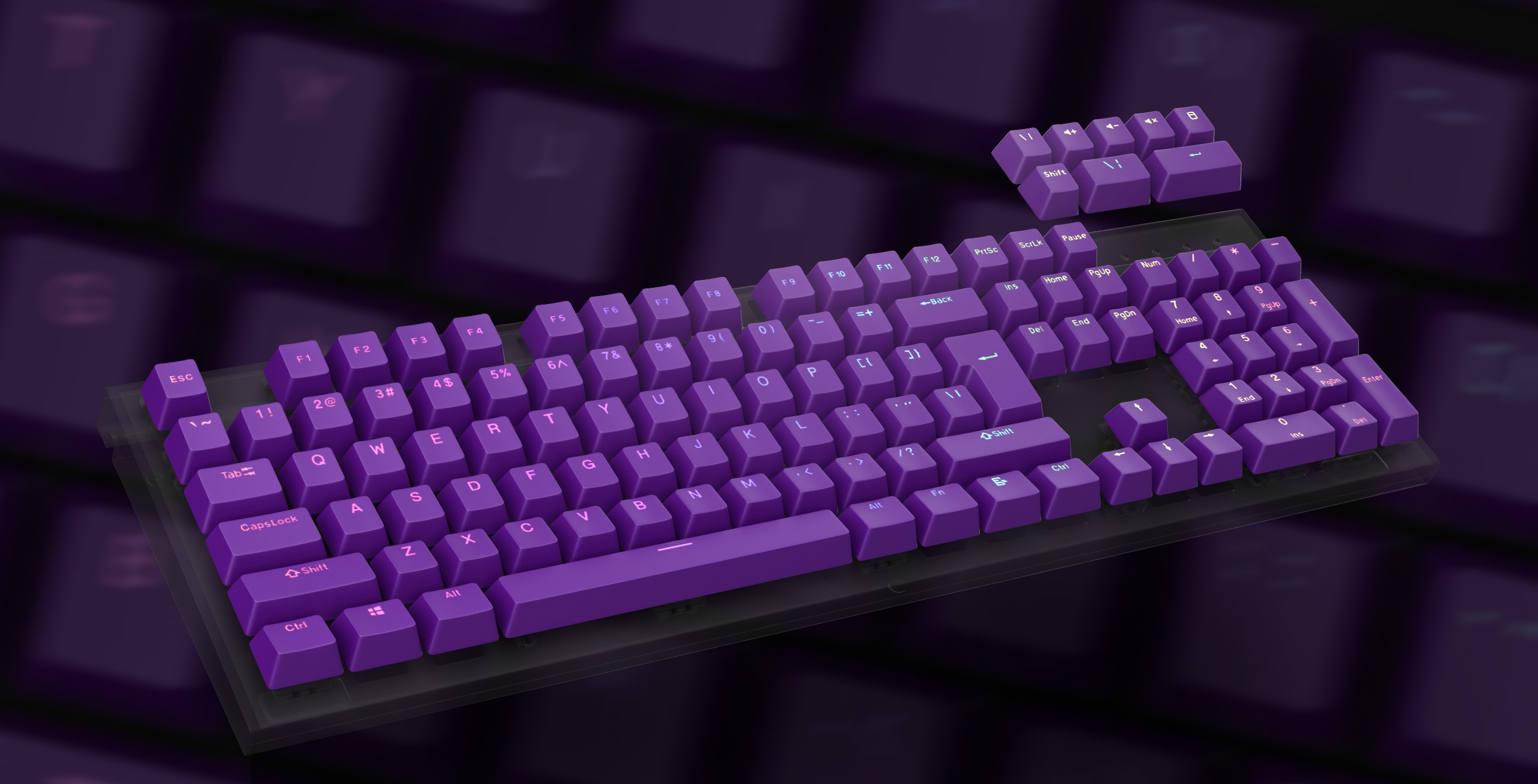 Genesis Lead 300 Violet