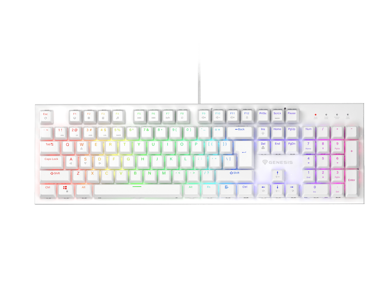 Genesis Thor 303 White (Outemu Brown)