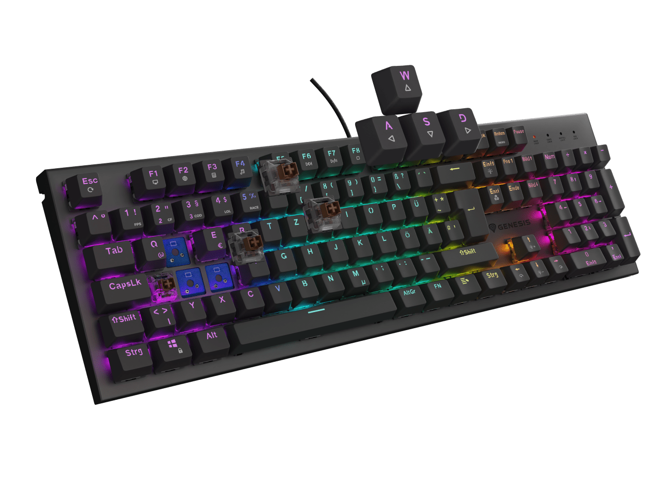 Genesis GAMING KEYBOARD GENESIS THOR 303 DE LAYOUT RGB BACKLIGHT BROWN SWITCH HOT SWAP DE Black (Outemu Brown)