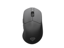 Zircon 606