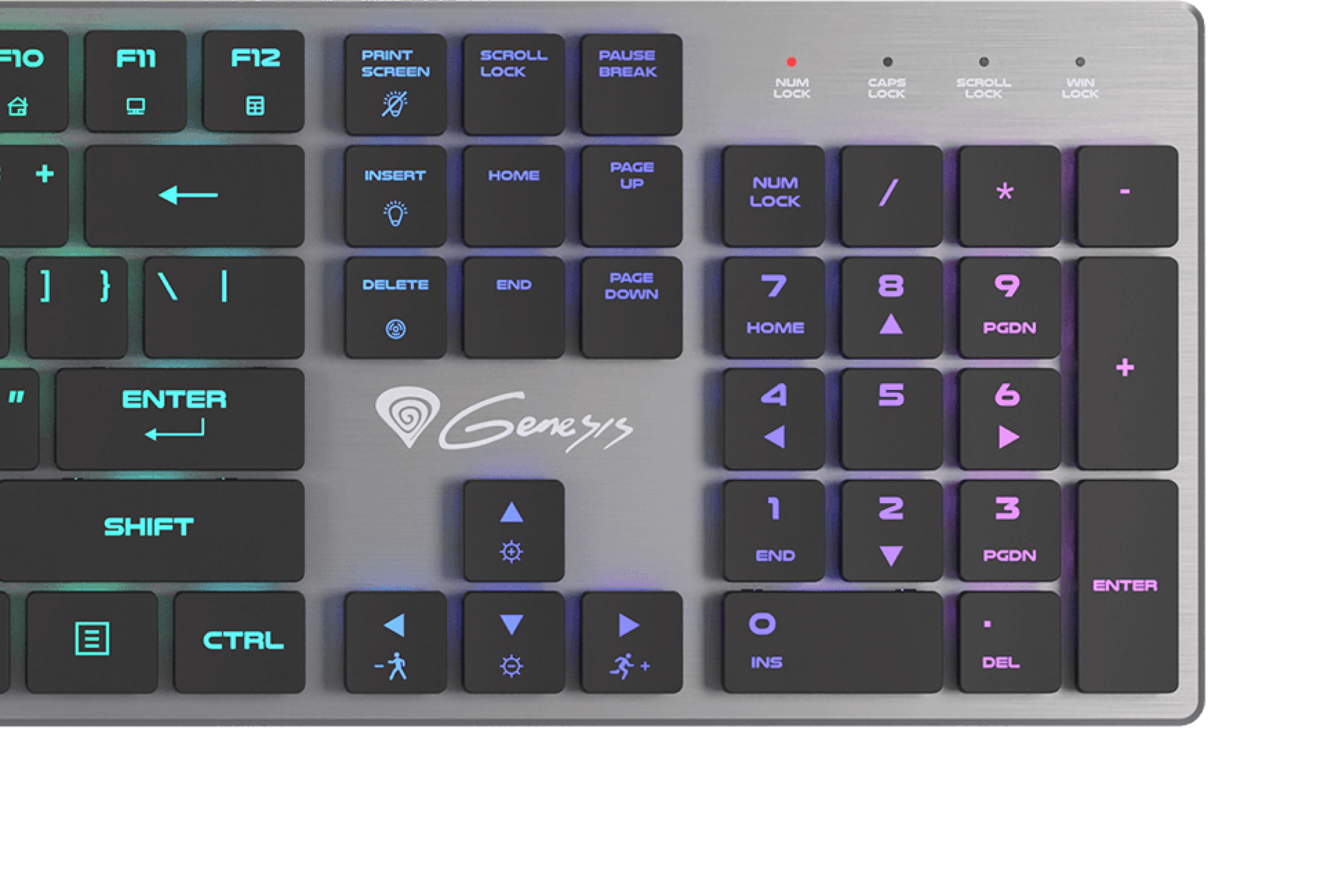 Mechanical gaming keyboard with RGB lighting, featuring blue switches and a slim design, showcasing highlighted keys and a Genesis logo