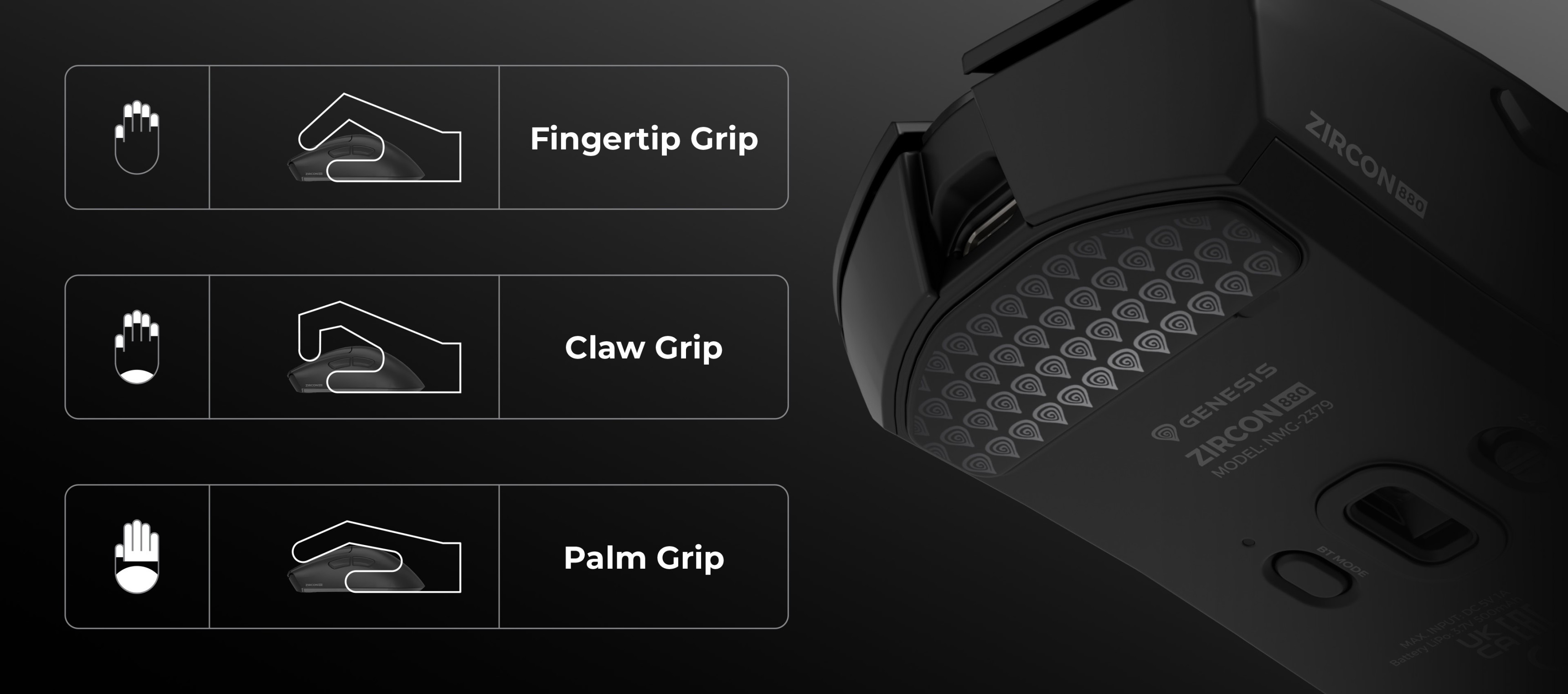 Mouse showing three different grip styles: fingertip, claw, and palm grips with symbols.