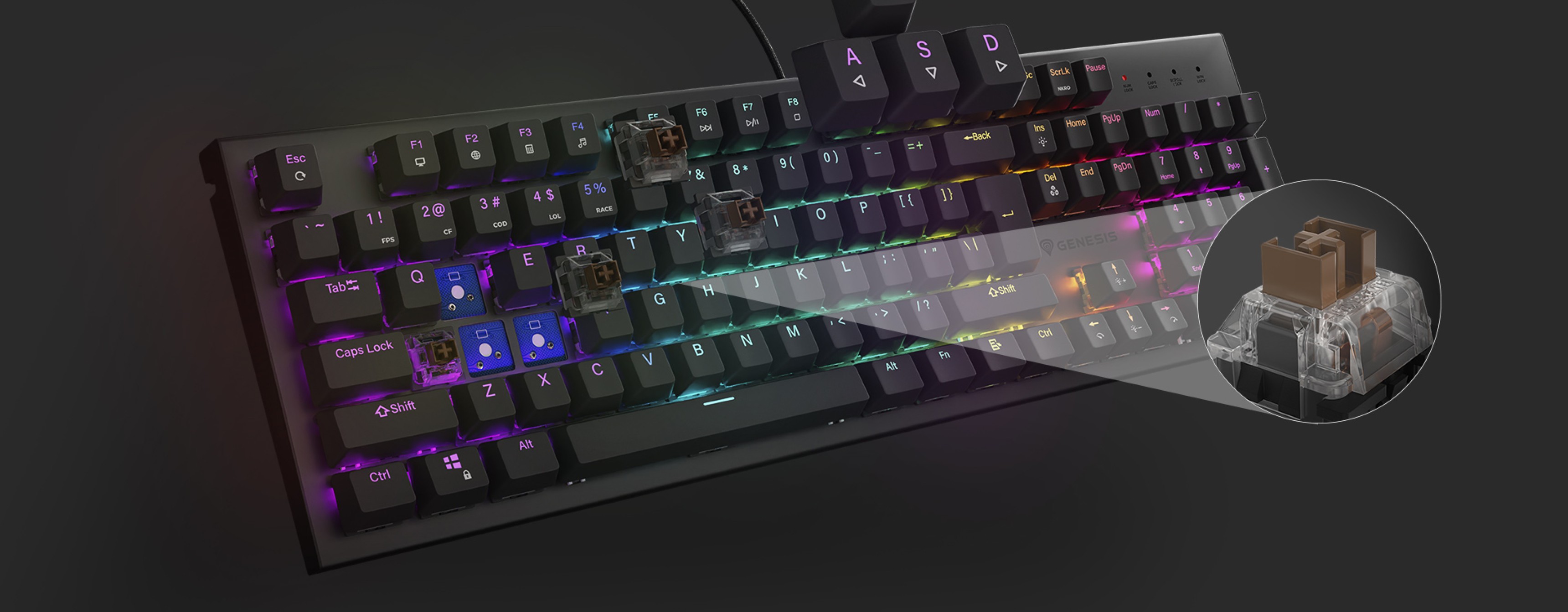 Mechanical gaming keyboard featuring RGB backlighting and brown switches, with a close-up of a hot-swappable switch