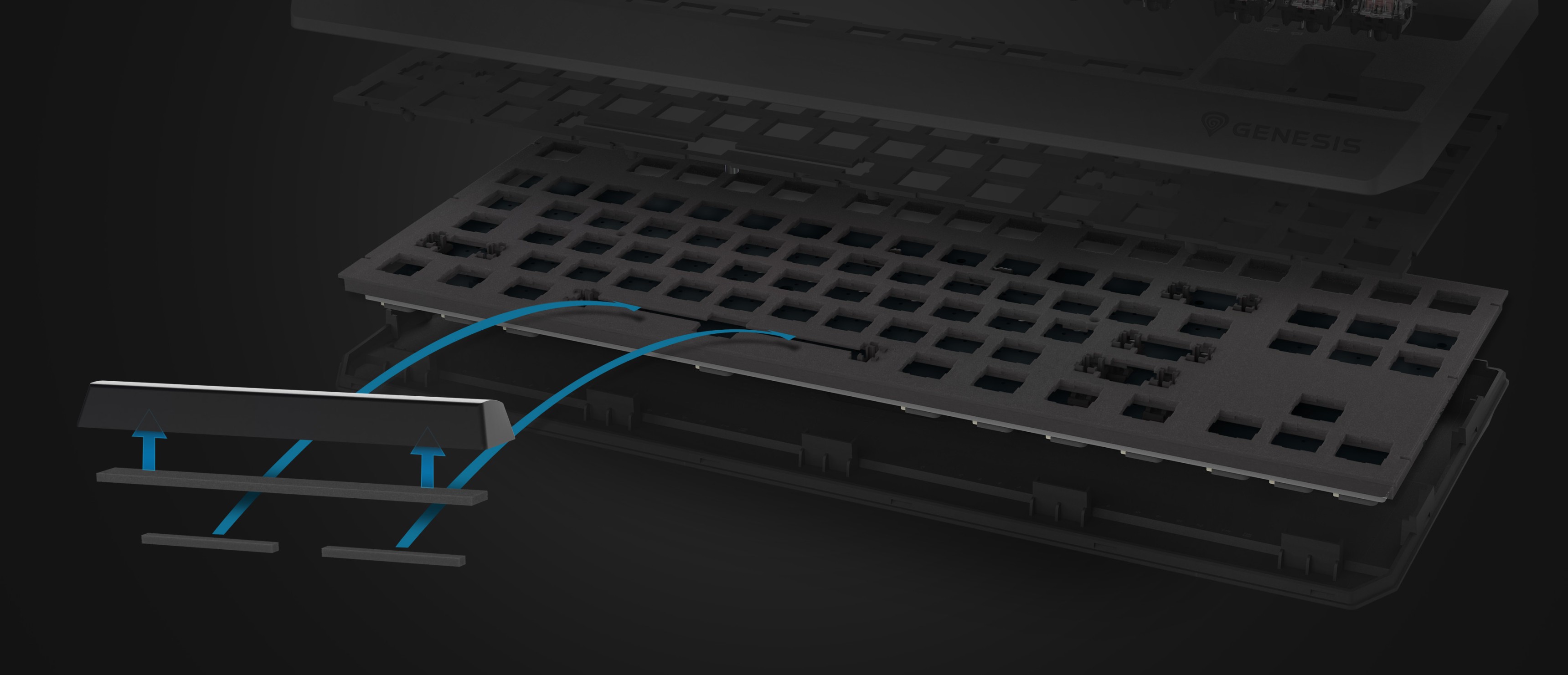 Close-up of the Genesis Thor 230 TKL Lite mechanical keyboard, highlighting its hot-swappable key switches and black design