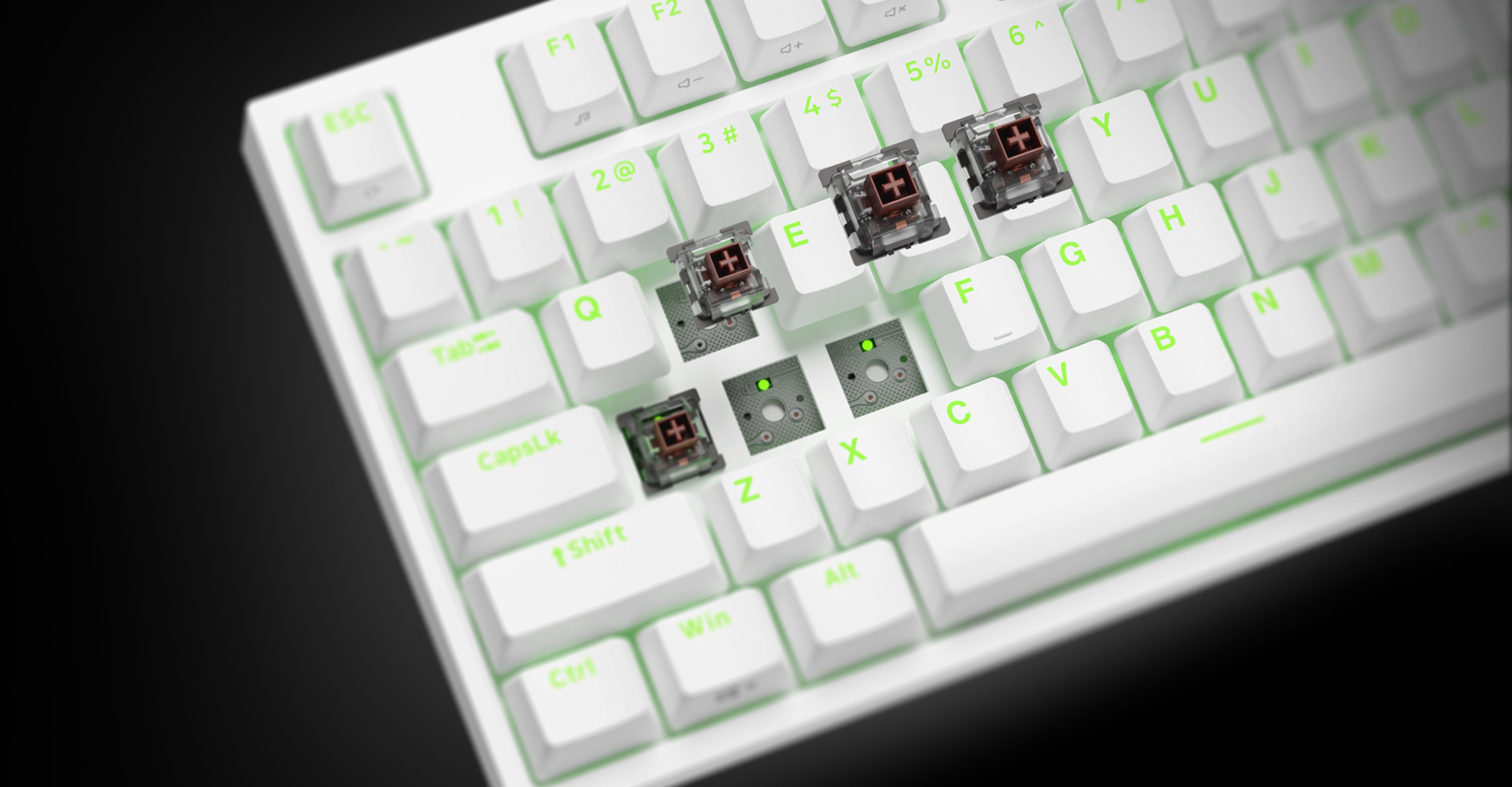 Tenkeyless RGB mechanical keyboard with white keys and green backlighting, showing Kailh Box Brown switches