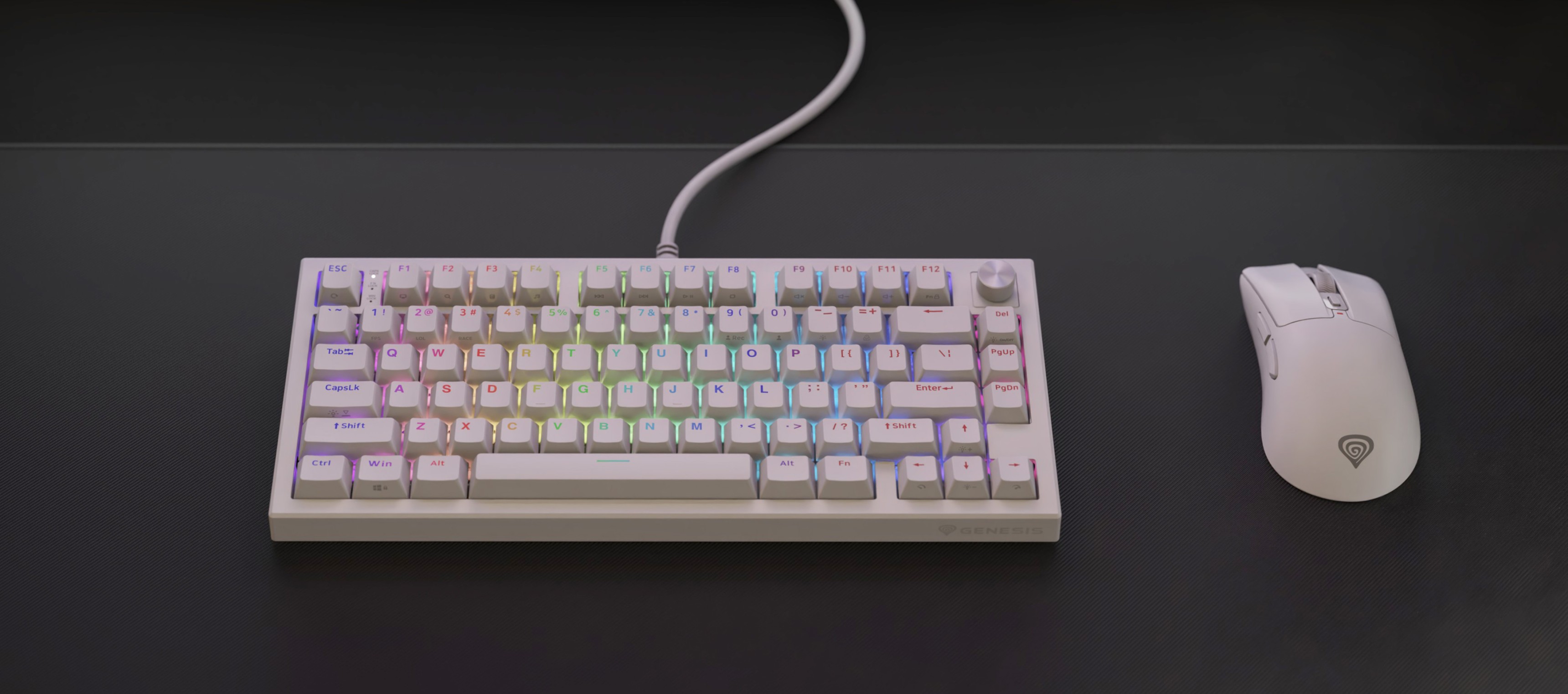 White keyboard with colorful backlighting and a matching white mouse on a dark surface.