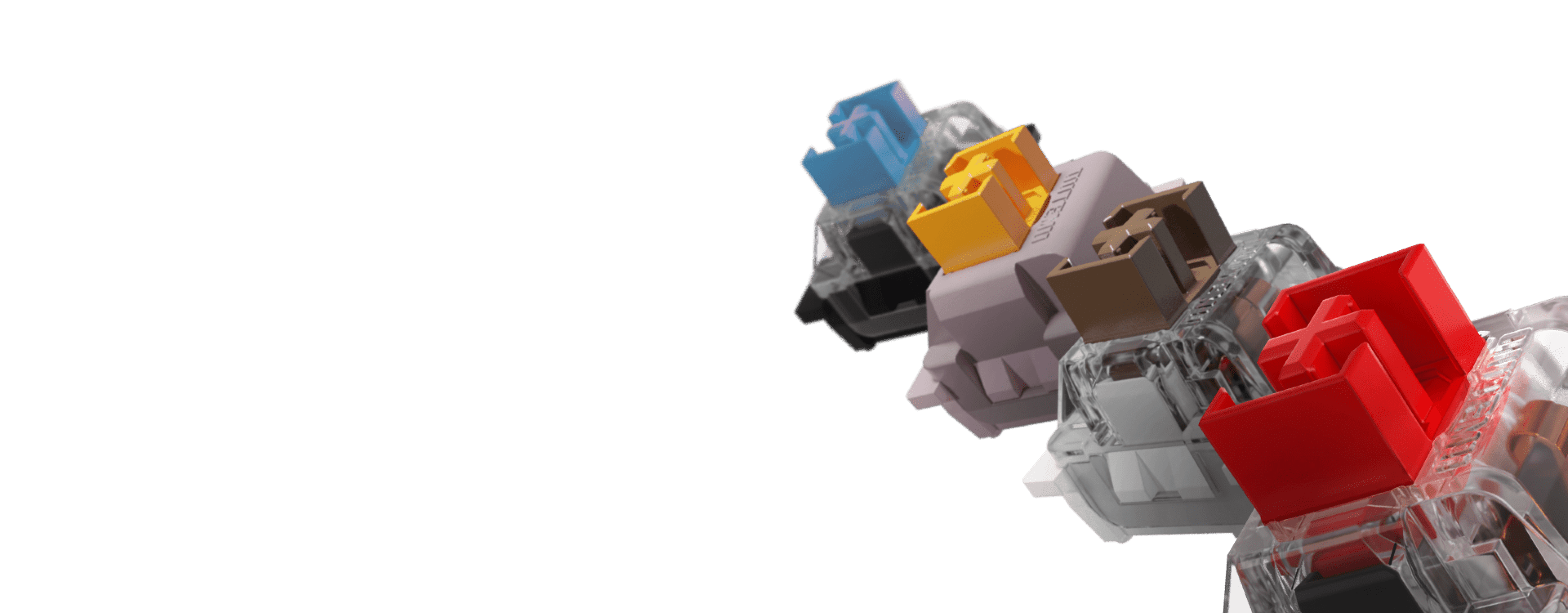 A row of colorful double shot keycaps displayed on transparent bases, featuring various colors like blue, yellow, brown, and red
