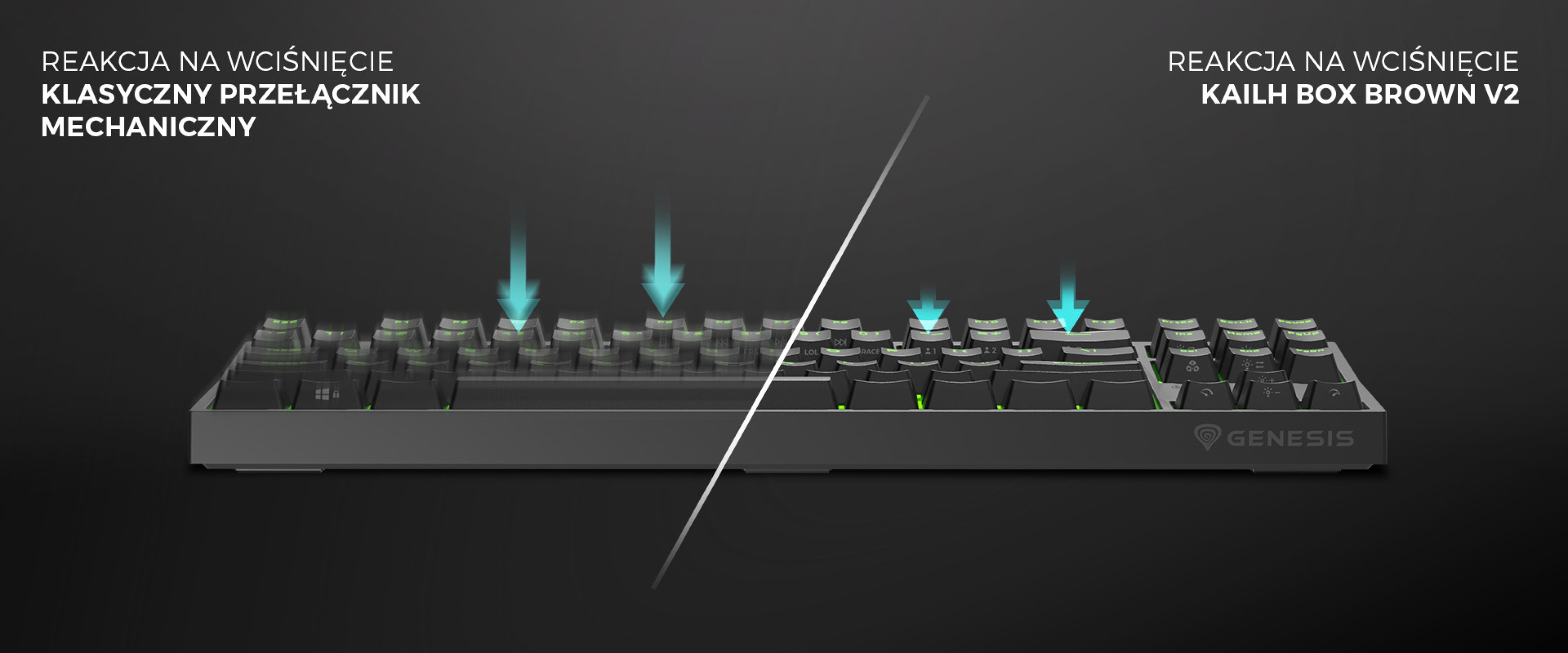 Side view of the Genesis Thor 404 TKL gaming keyboard, highlighting Kailh Box Brown switches and RGB backlighting