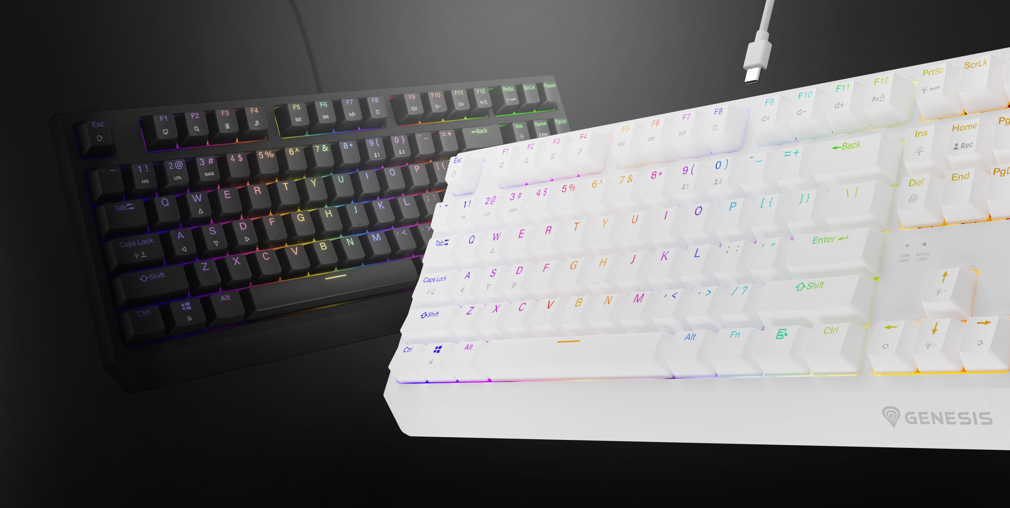 Two mechanical gaming keyboards displayed: one black with RGB lighting and one white, showcasing customizable lighting effects