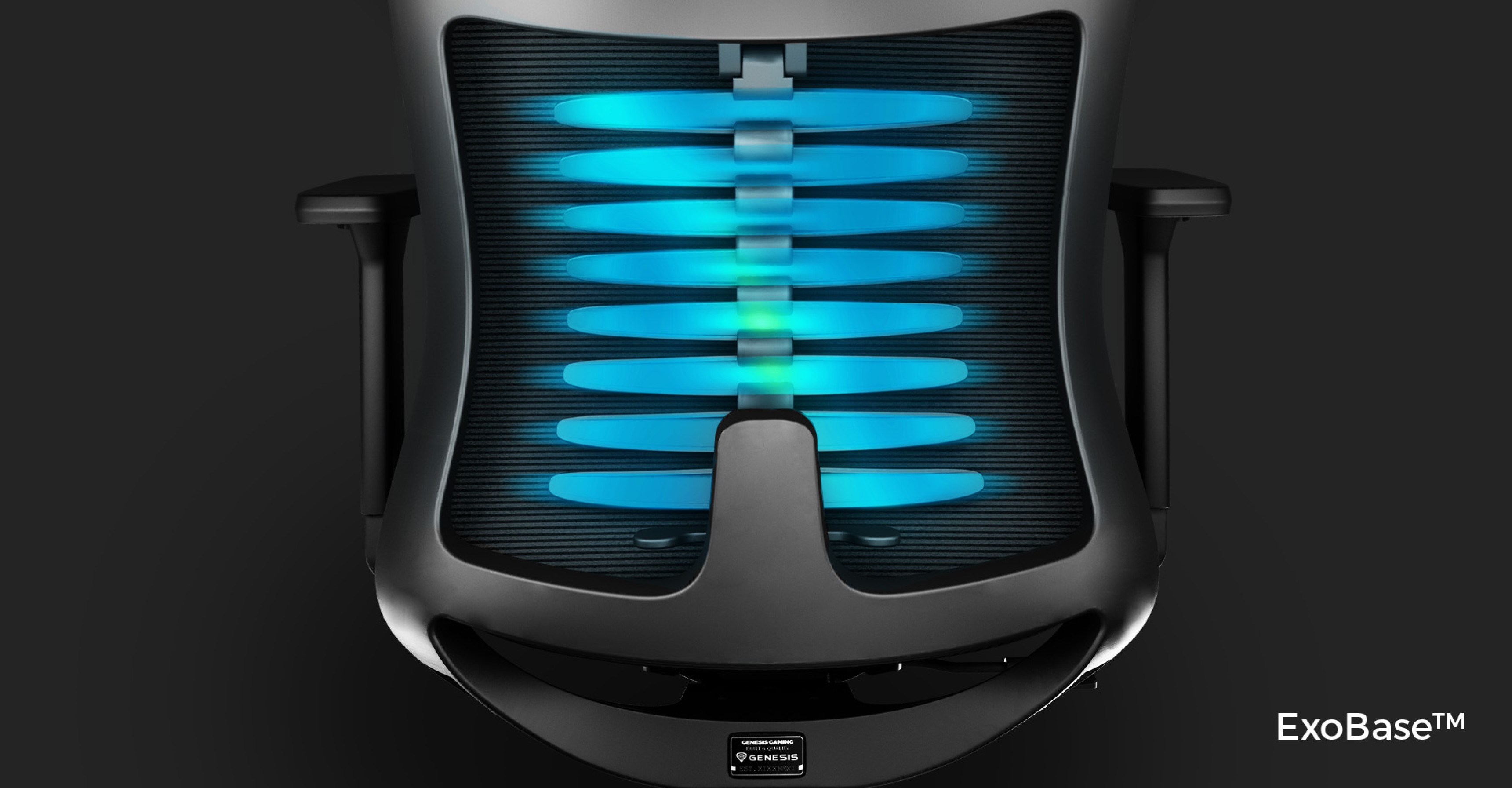 Ergonomic black office chair featuring a spine-like backrest design with blue accents and adjustable armrests
