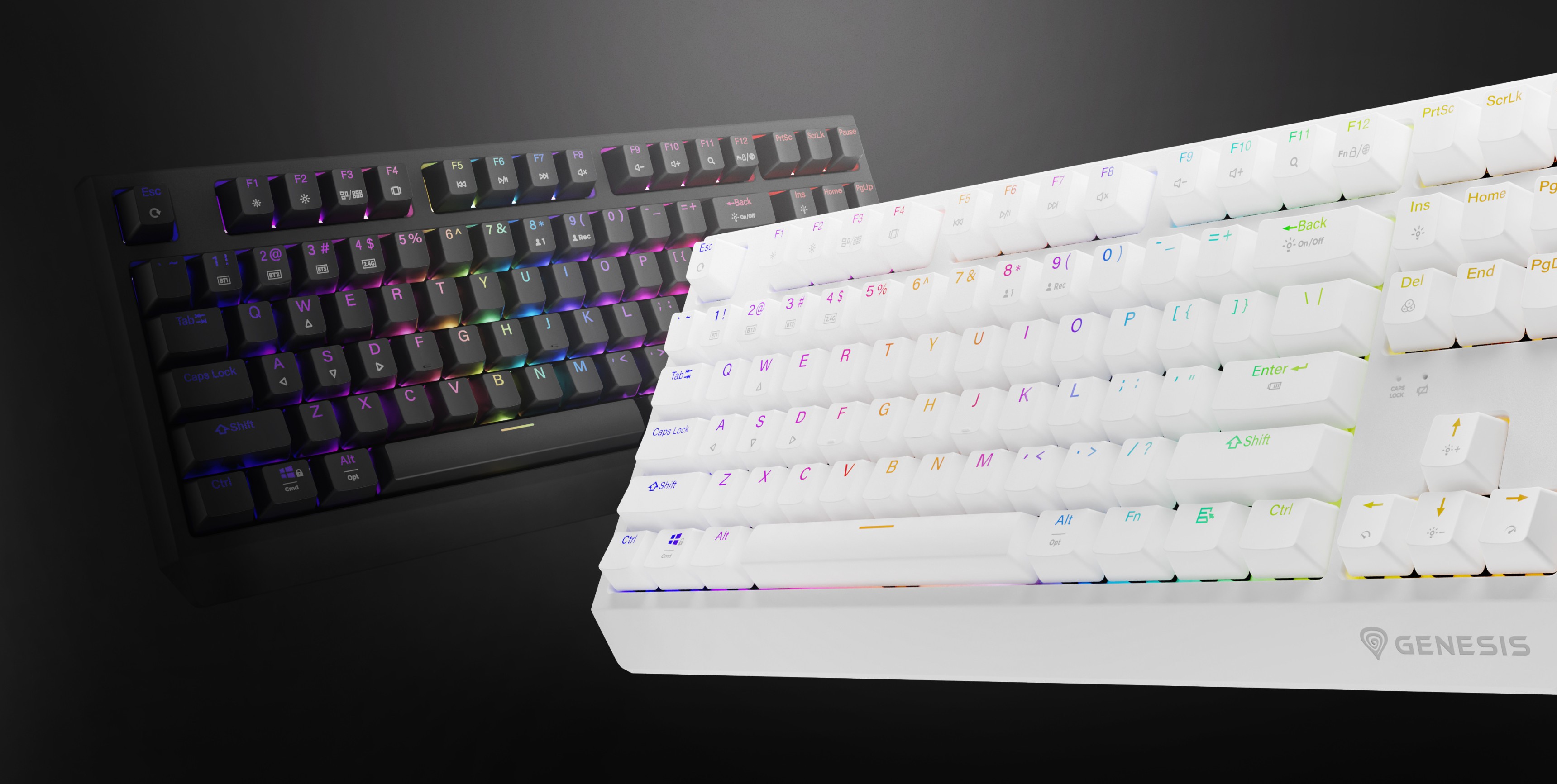 Two Genesis Thor 230 TKL wireless mechanical keyboards showcased, one black and one white, with RGB backlighting effects
