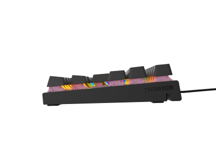Genesis Thor 303 TKL ES Black (Outemu Peach Silent)