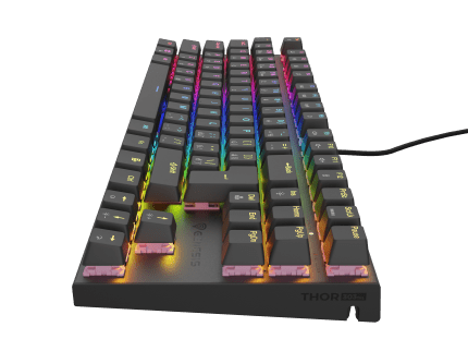 Genesis GAMING KEYBOARD GENESIS THOR 303 TKL BLACK CZ/SK LAYOUT RGB MECHANICAL SILENT SWITCH HOT SWAP CZ/SK Black (Outemu Peach Silent)
