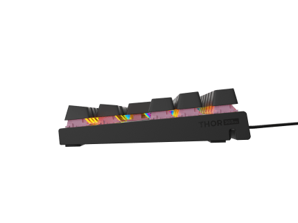 Genesis GAMING KEYBOARD GENESIS THOR 303 TKL BLACK CZ/SK LAYOUT RGB MECHANICAL SILENT SWITCH HOT SWAP CZ/SK Black (Outemu Peach Silent)
