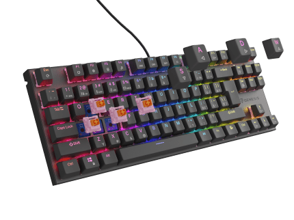 Genesis GAMING KEYBOARD GENESIS THOR 303 TKL BLACK CZ/SK LAYOUT RGB MECHANICAL SILENT SWITCH HOT SWAP CZ/SK Black (Outemu Peach Silent)